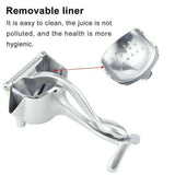 Manual Fruit Press