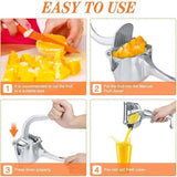 Manual Fruit Press
